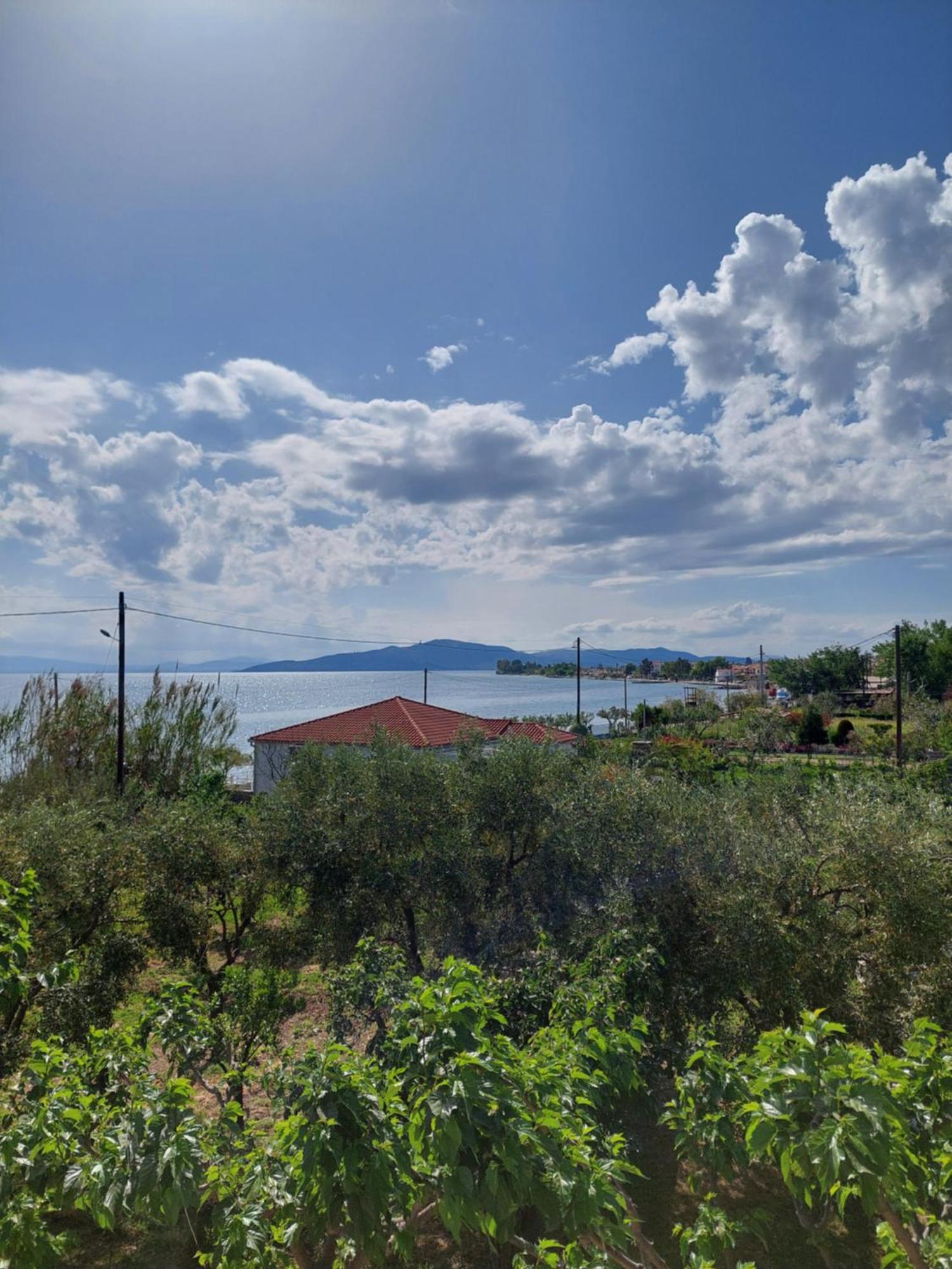 Platanidia Apartment Pelion Exterior photo